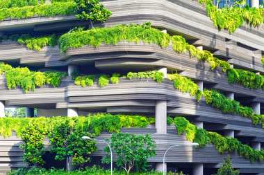 Building facade covered in layered greenery